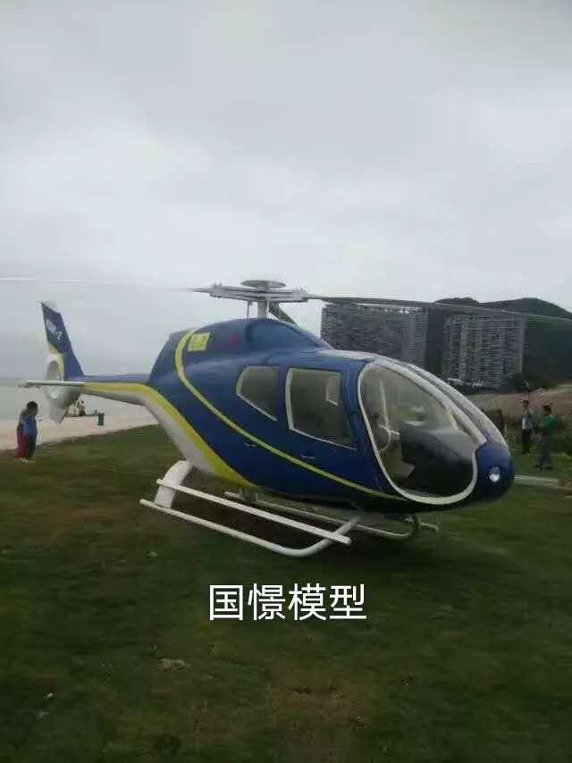北屯市飞机模型