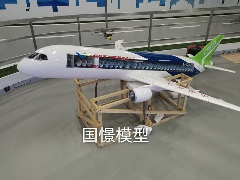 北屯市飞机模型